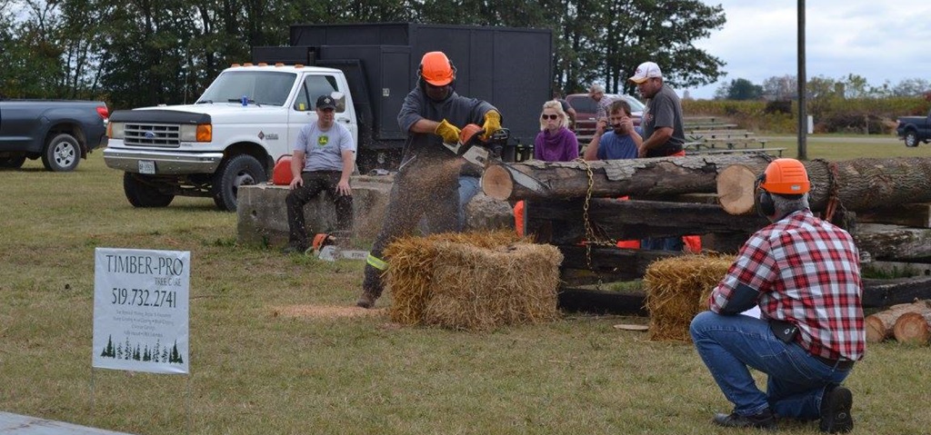 Chainsaw Demonstration - Burford Fair