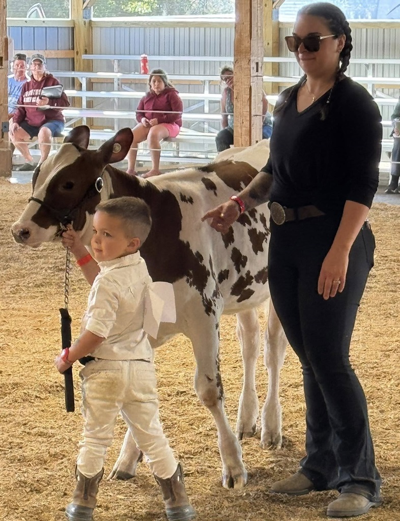 Calf Show
