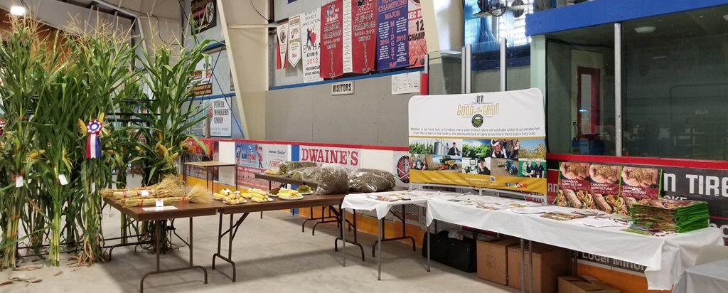 Homecrafts - Cobden Fair