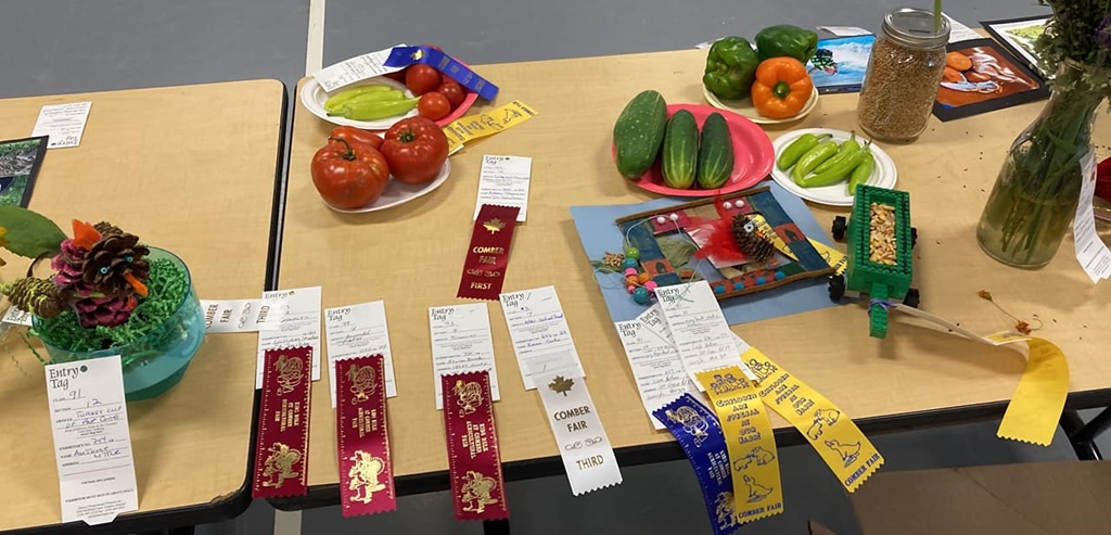 Homecraft Wiiners - Comber Fair