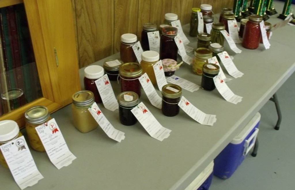 Homecraft Display - Donnybrook Fair