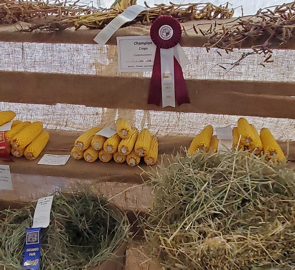 Harvest Boubty - Drumbo Fall Fair