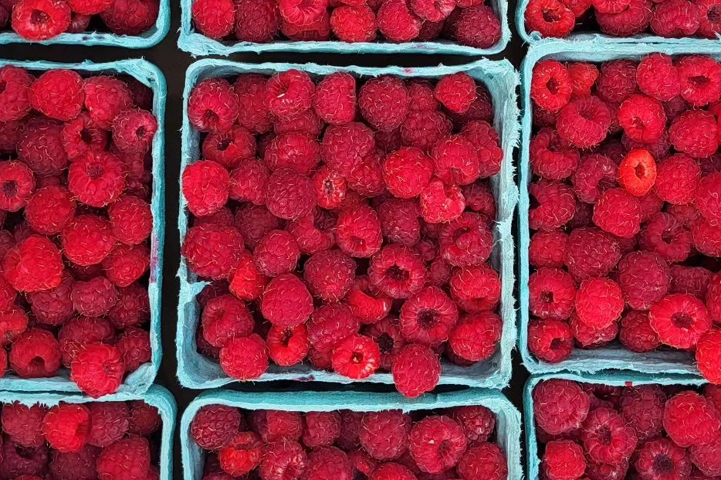 Fresh Picked Raspberries