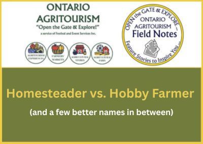 Homesteader vs Hobby Farmer