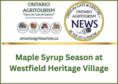 Experience the Sweet Magic of Maple Syrup Season