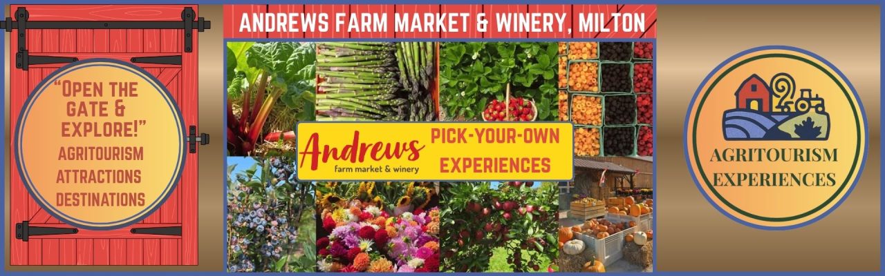 Andrews Farm Pick-Your-Own-Experiences Showcase | Ontario Agritourism