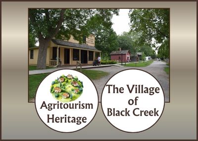 The Village at Black Creek