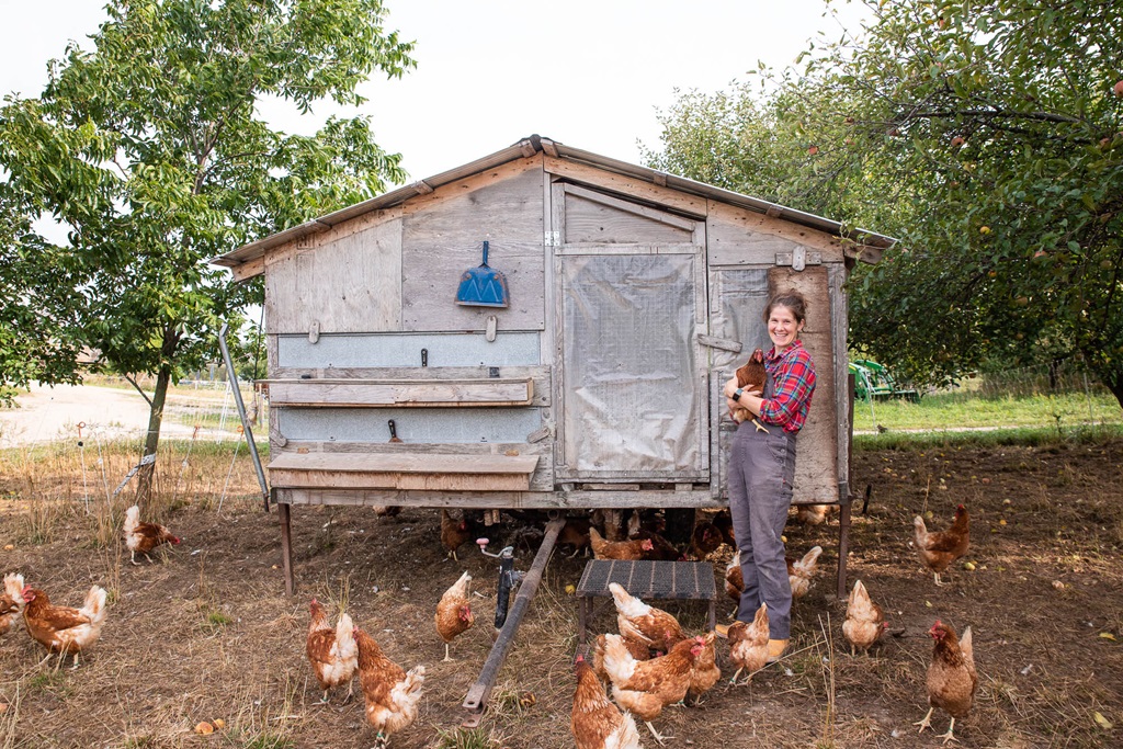 Farm Workshop Experience