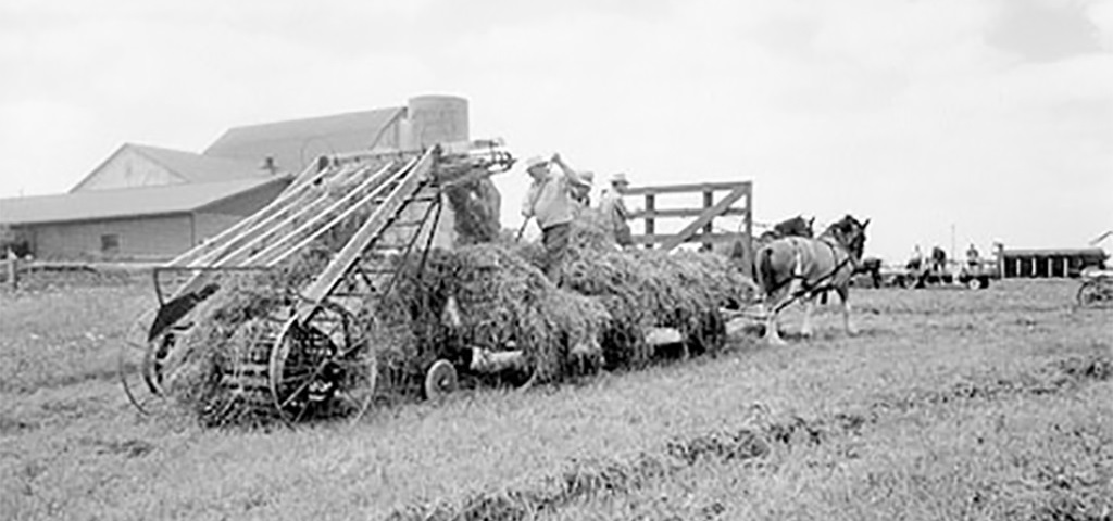 Farming in the 1800’s