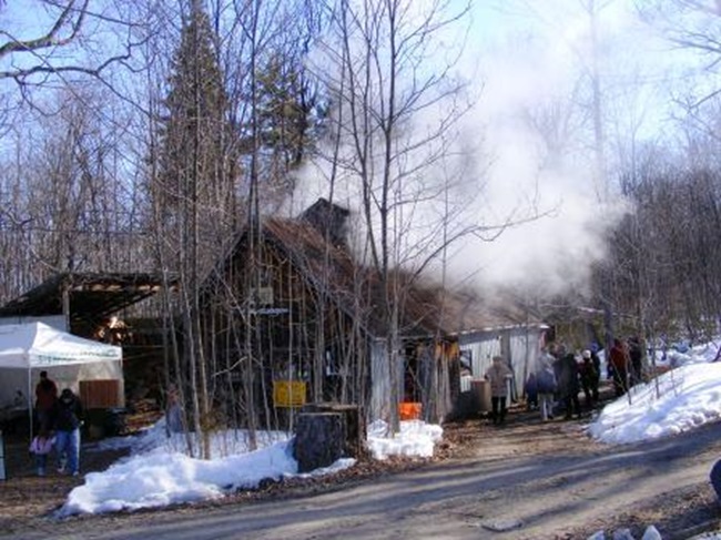 Sugar Shack - Maples Start Pumping!