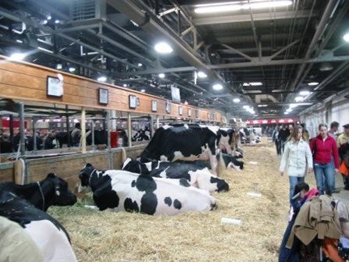 Royal Winter Fair (2007)