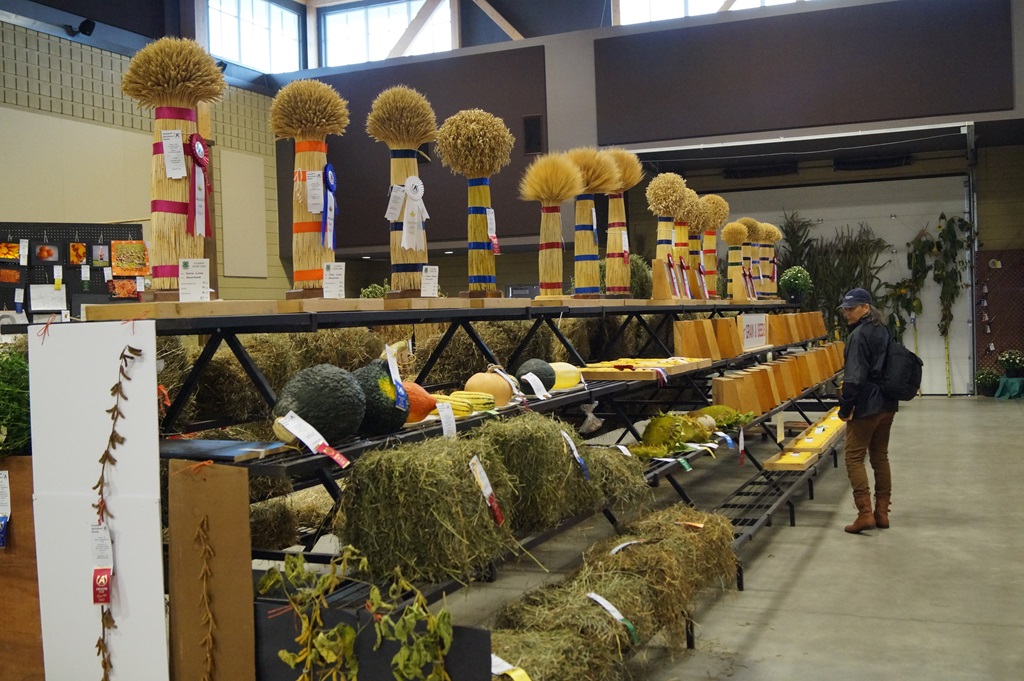 Agri Display
