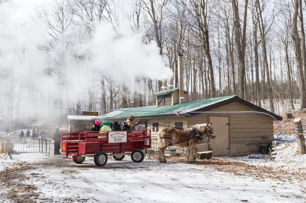 Purple Woods Maple Syrup Festival