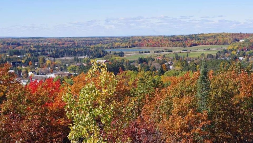 Fall Scene