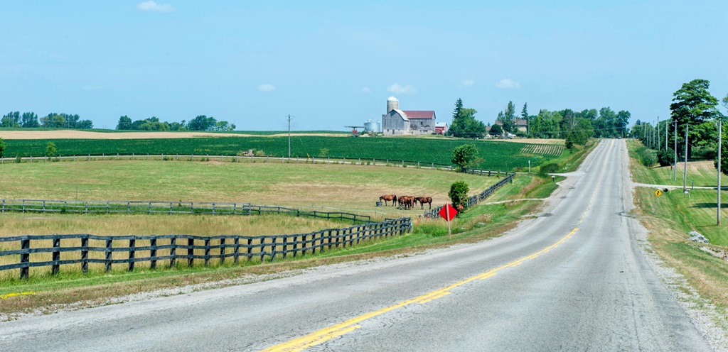Country Scene