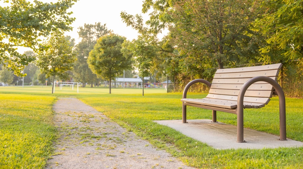 Park Bench