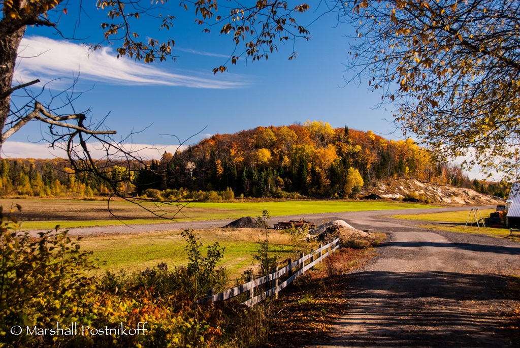 A Hill of Fall Colours