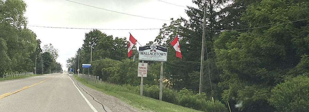 Welcome to Wallacetown