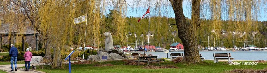 Wiarton Willie