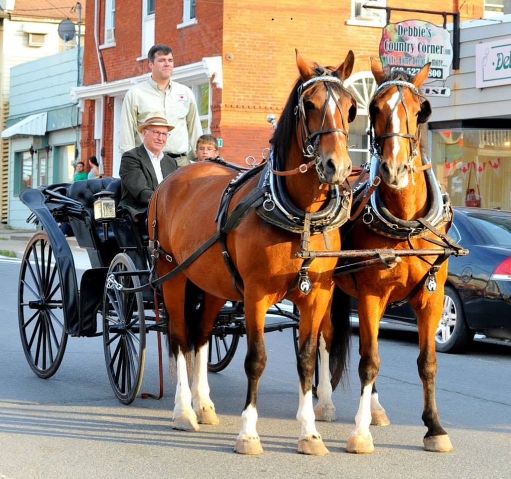 Horse and carriage