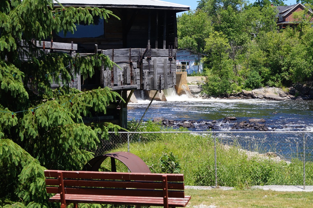 River Shoreline view at Kinmount Park