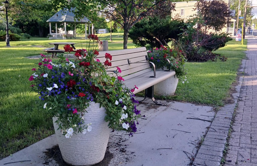 Park Bench