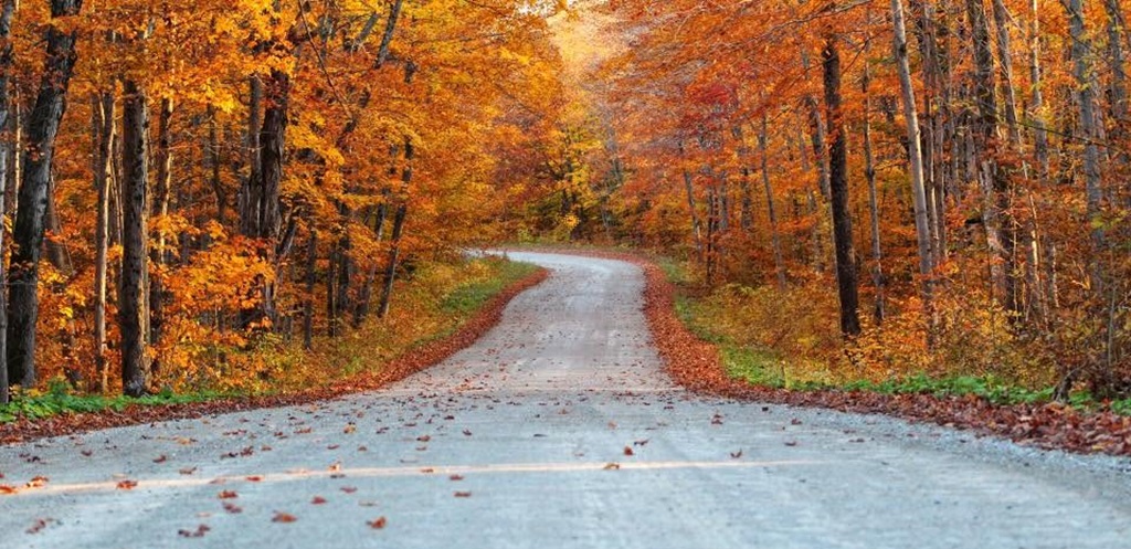 Fall Road Scene