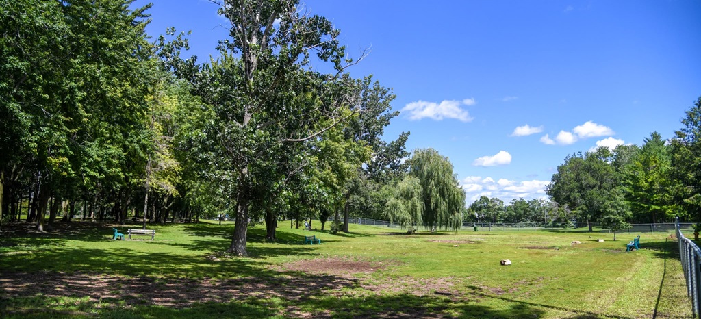 Park