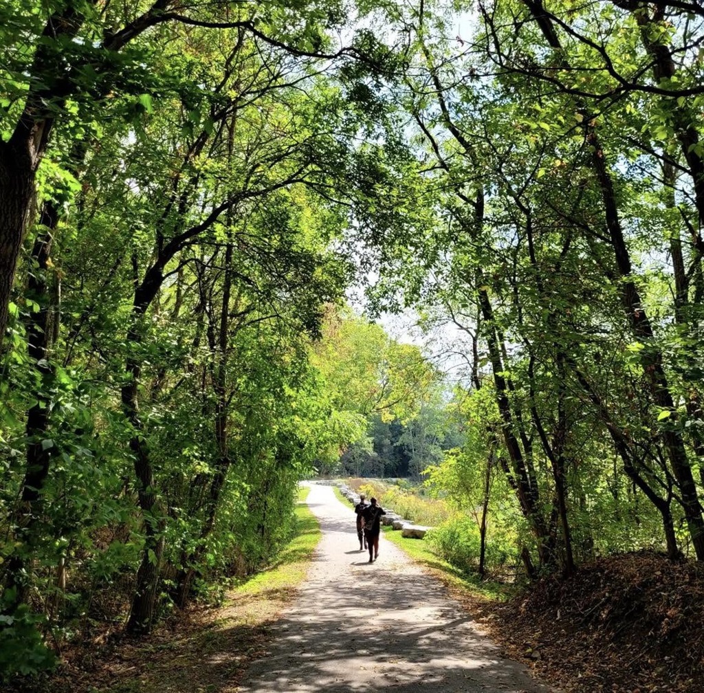 Trail