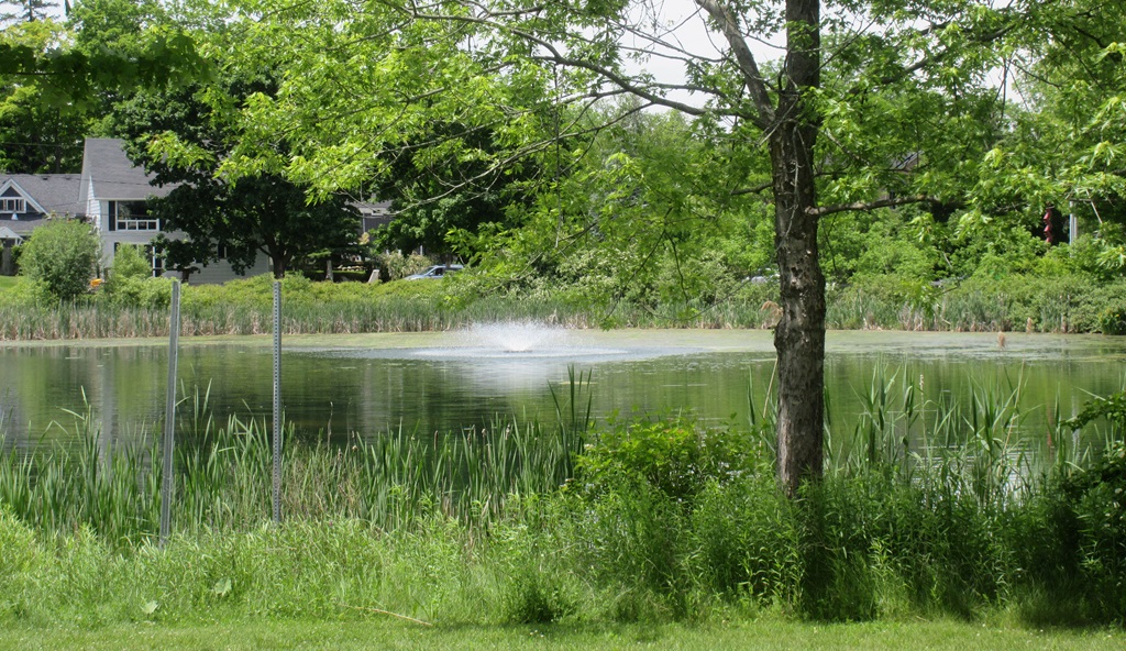 Park