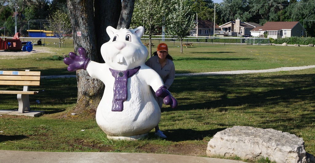 Wiarton Willie