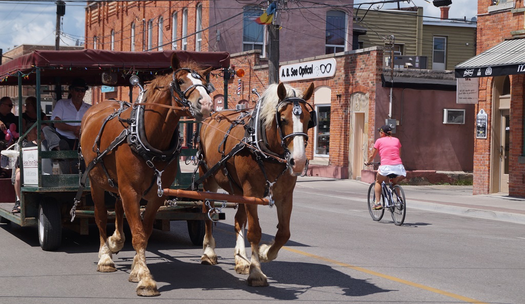 Summer Horse Drawn Tram