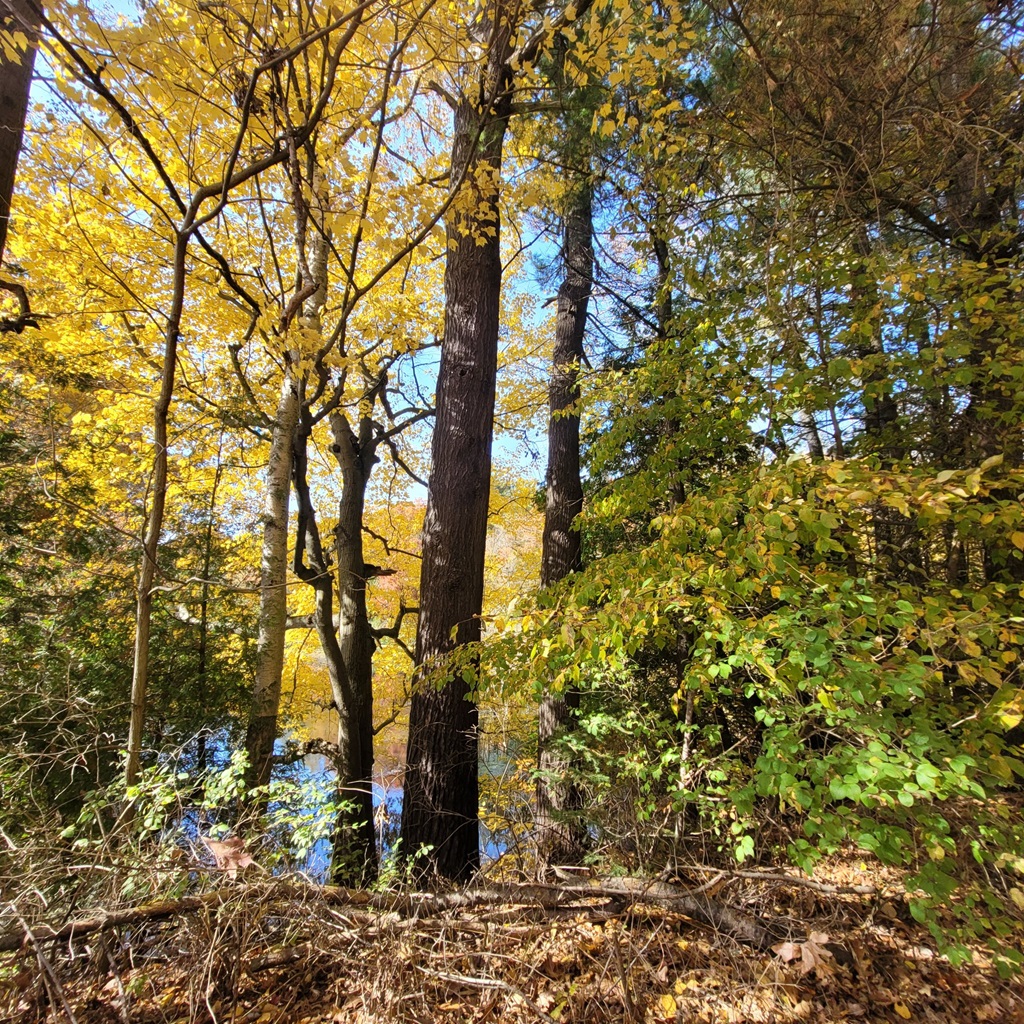 St. Williams Conservation Reserve Park