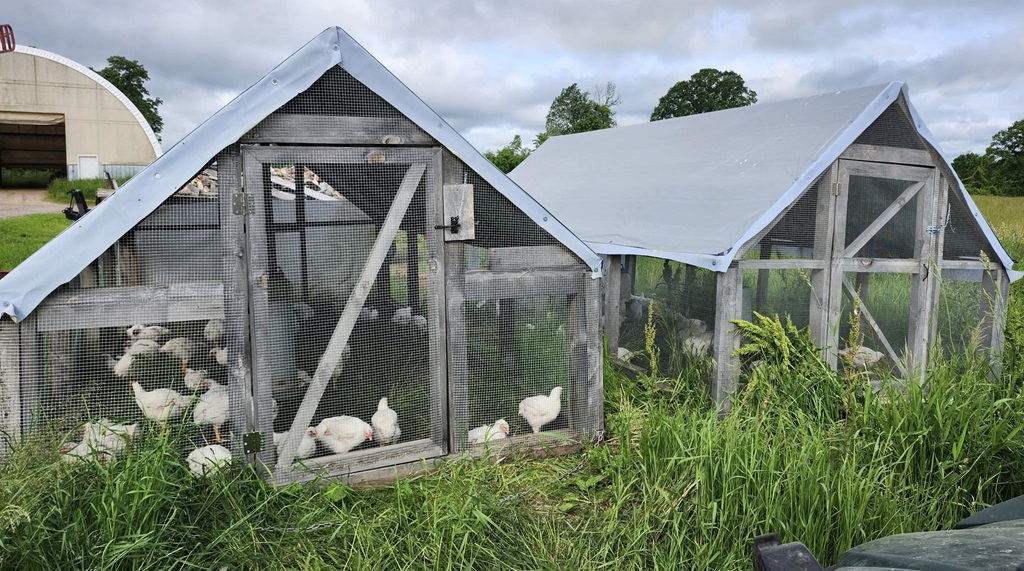 Chicken Coop