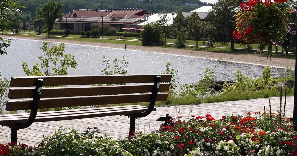 Bench overlooking lake