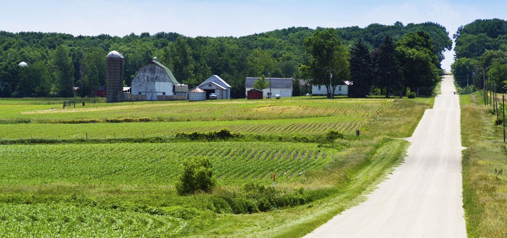Farm Scene