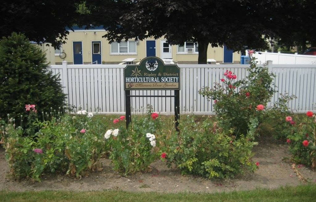 Park Garden