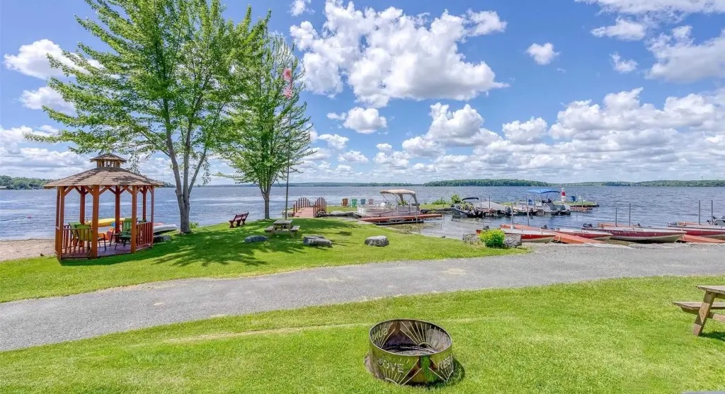 Lakeshore scene