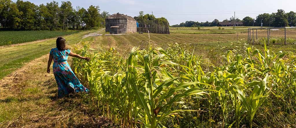 Woman Walking in a Corn Fiels
