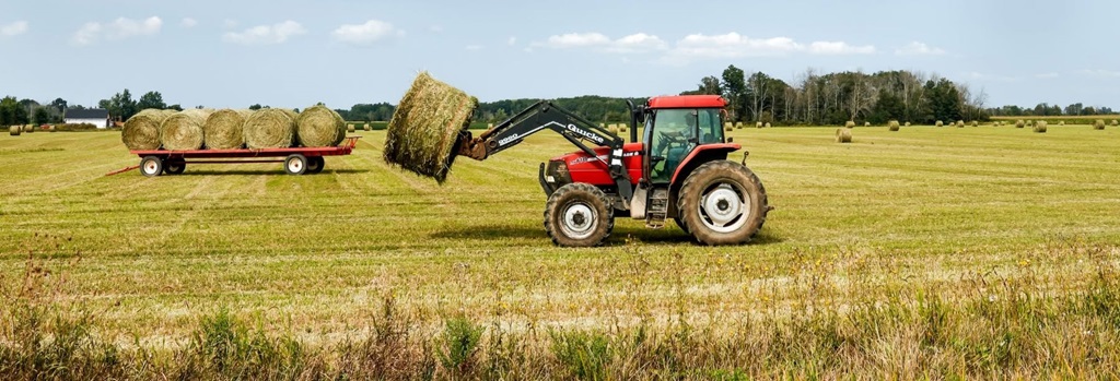 Farm Scene