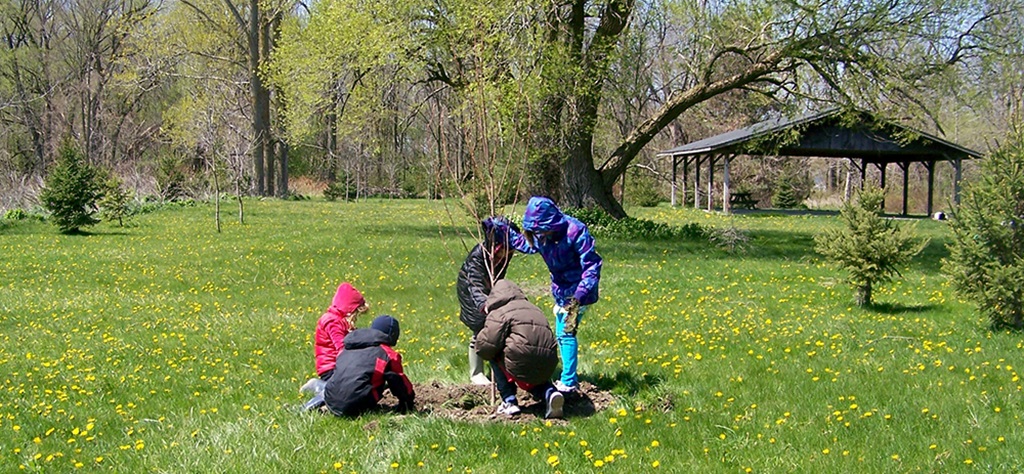 Tree Planting in the Park