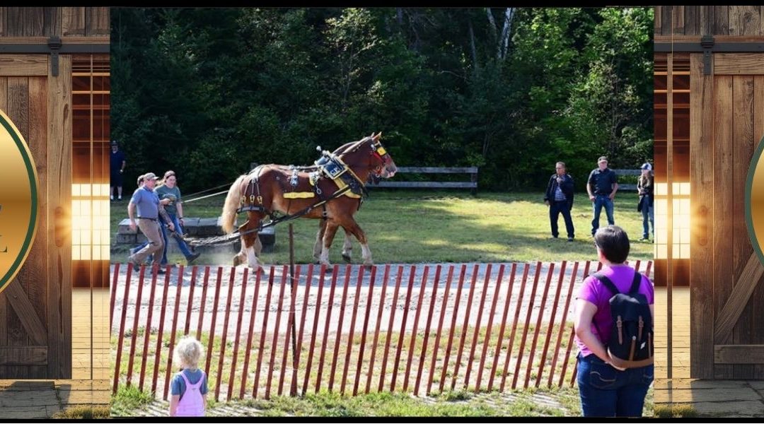 Emsdale Fall Fair Showcase