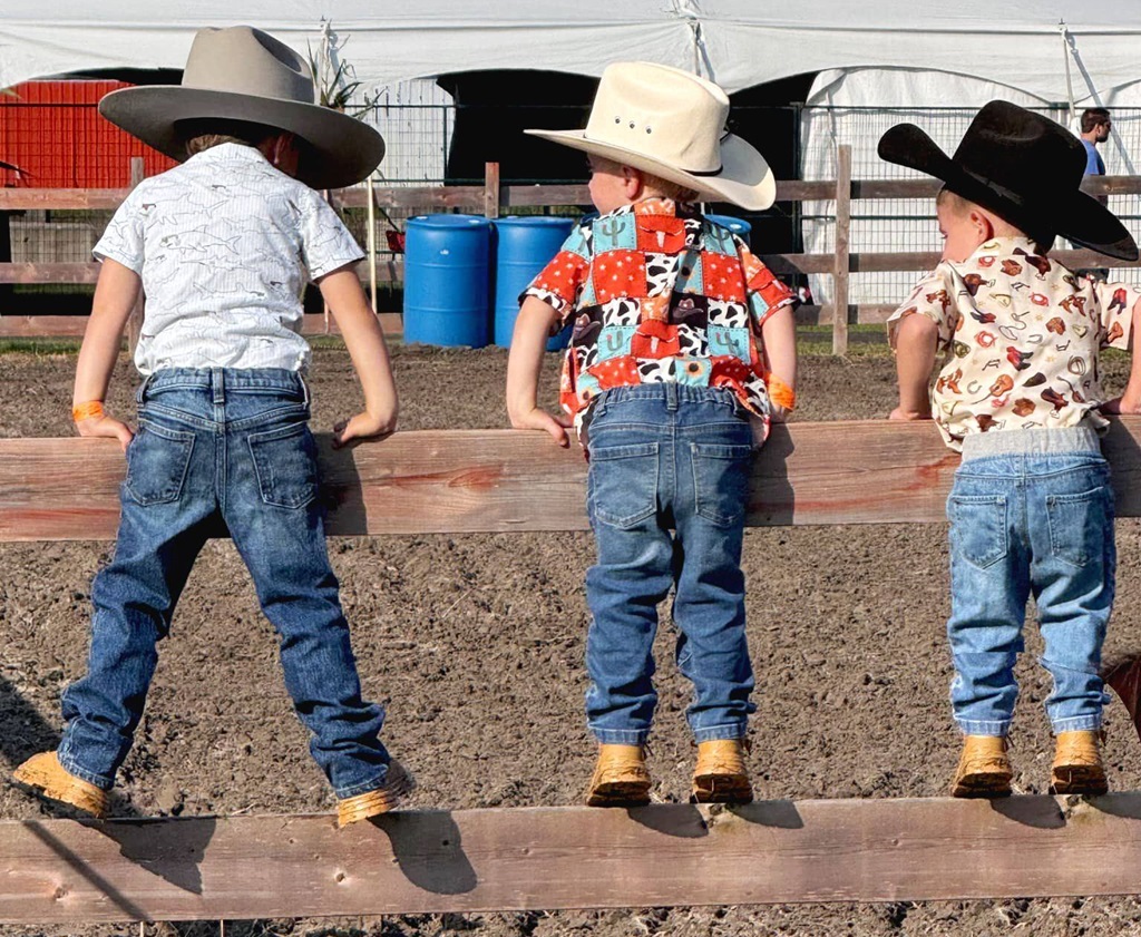 Watching the Action - Chesterville Fair