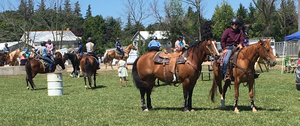 Getting Ready - Dungannon Fair