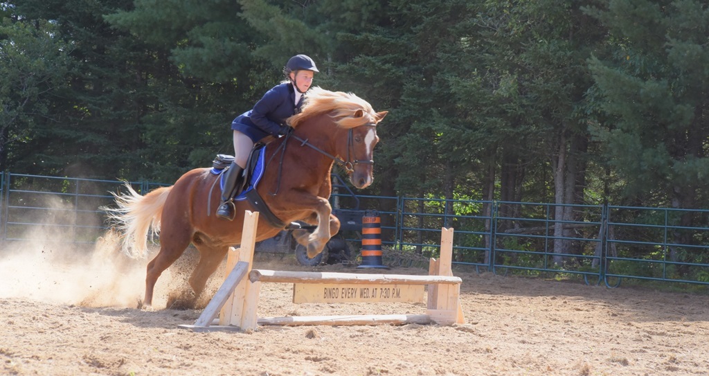 Horse Jumping - Emsdale Fall Fair