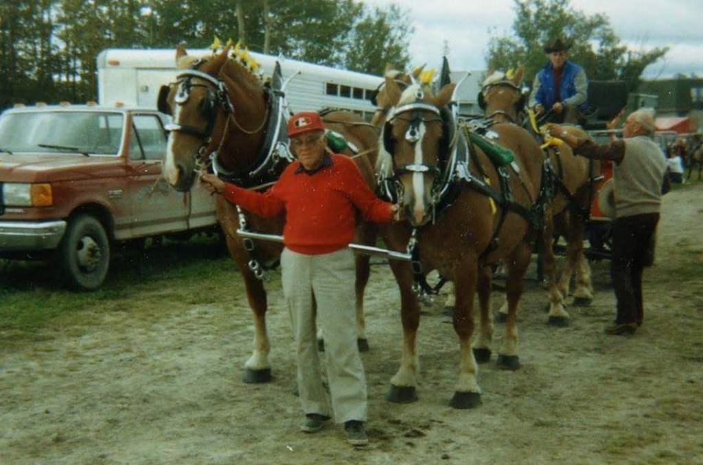 4 Horse Hitch - Englehart and District Fall Fair