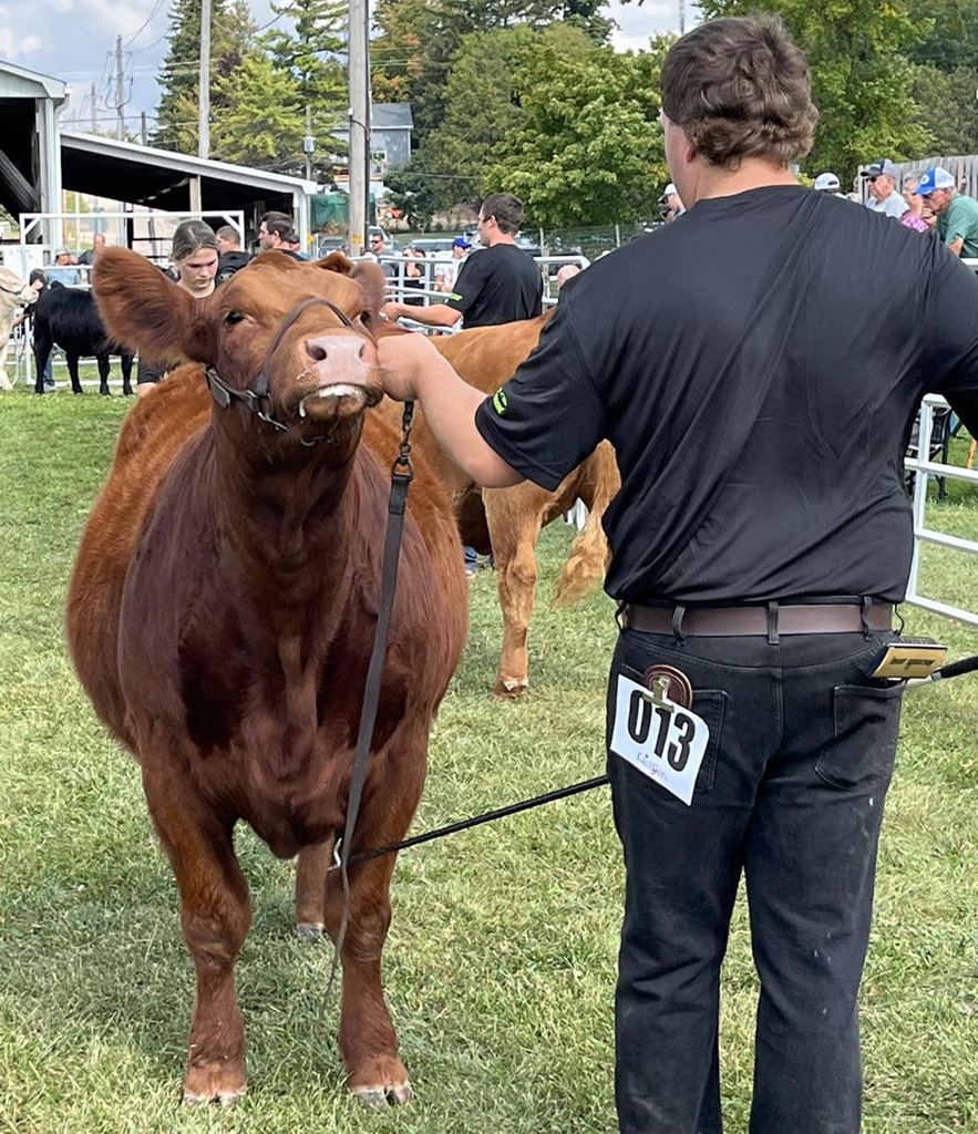 Beef Judging - Lucknow Fall Fair