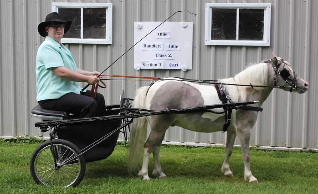 Small Horse and Cart - Meaford Fall Fair