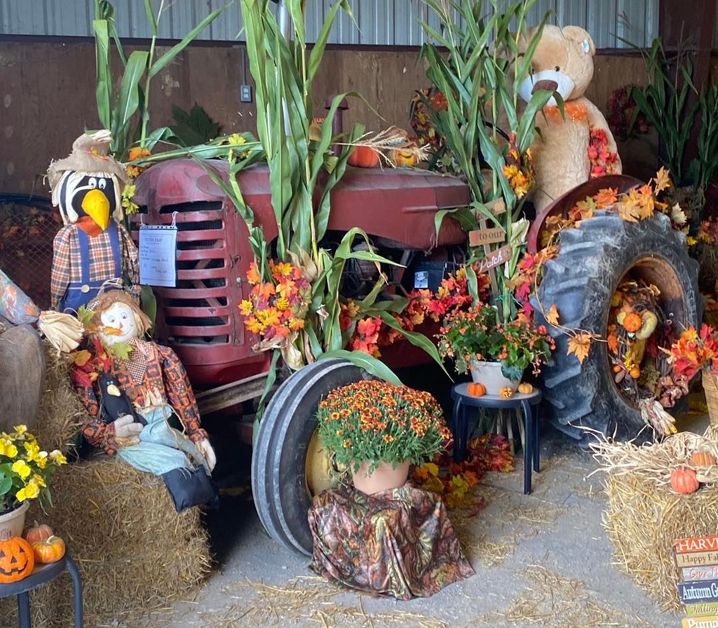 Fair Display - Picton Fair