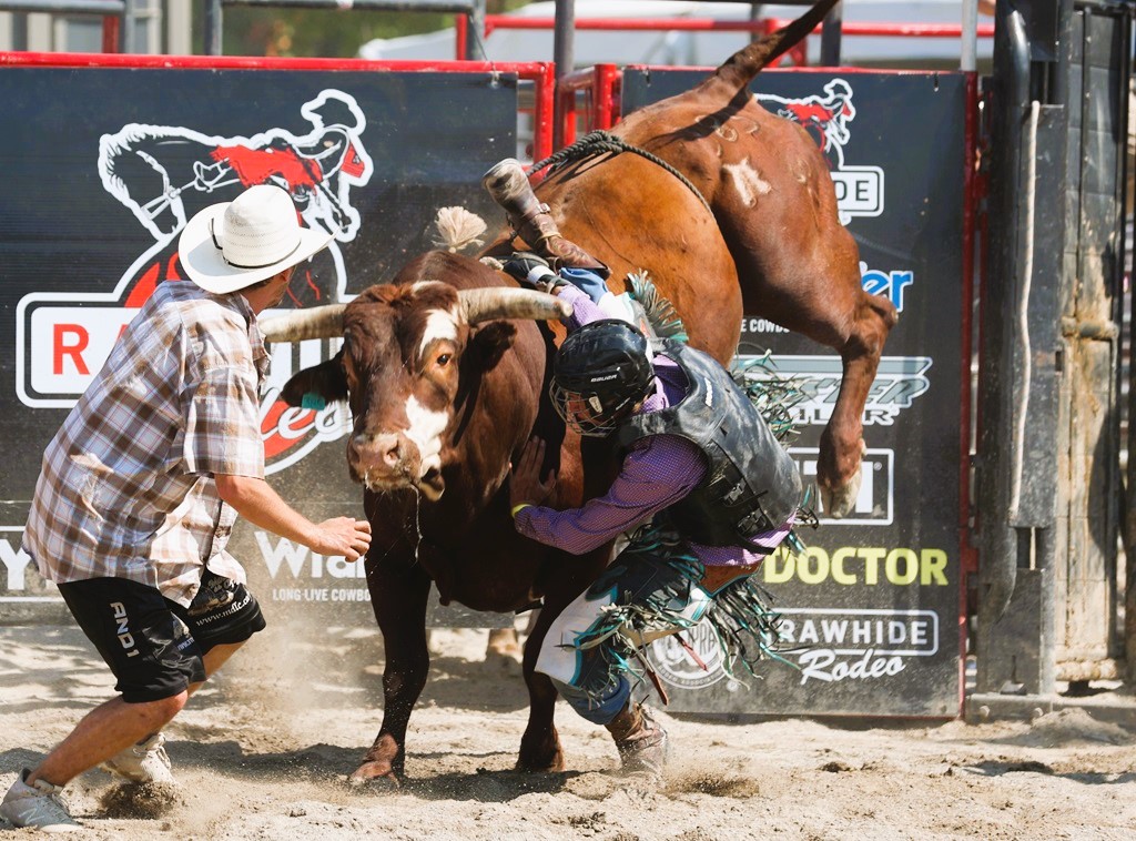 Bull Riding - Port Perry Fair